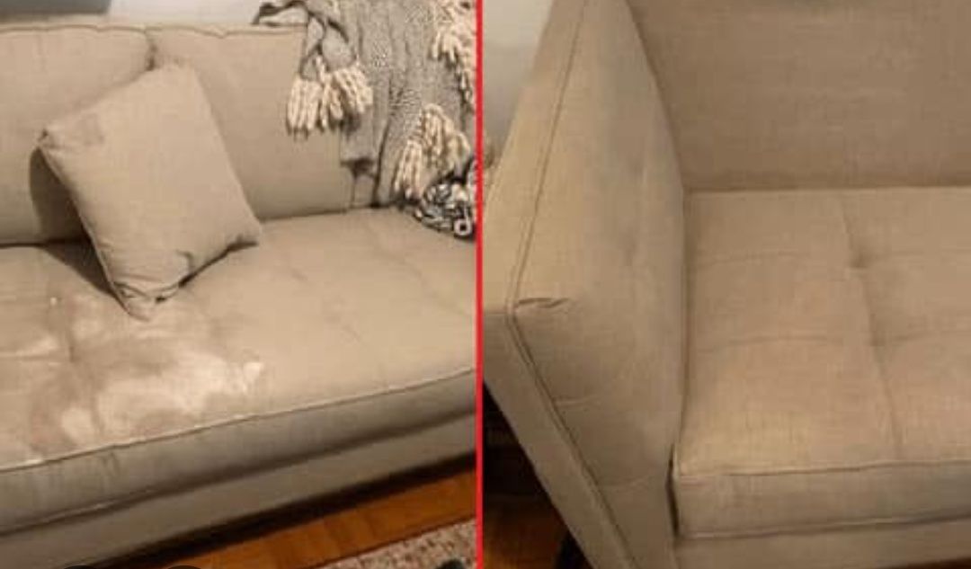 Limpeza e Higienização de Sofás/Cadeiras