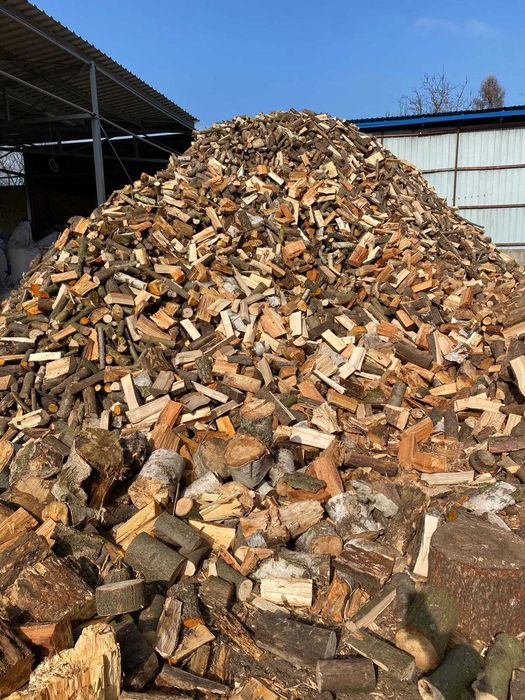Drewno opałowe -olcha lub sosna - świeże