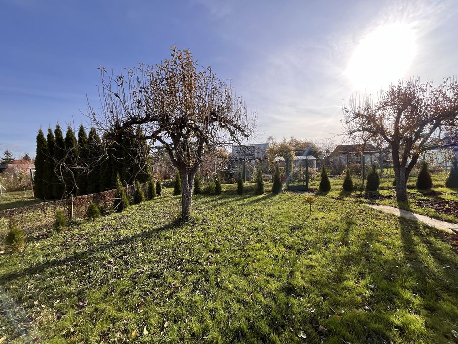 Działka ROD z budynkiem