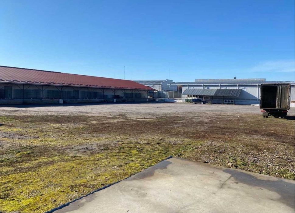 Оренда холодильних складів +5 -25 градусів