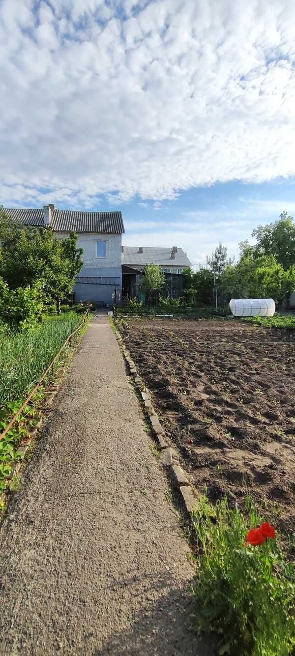 Продається будинок в тихому місці