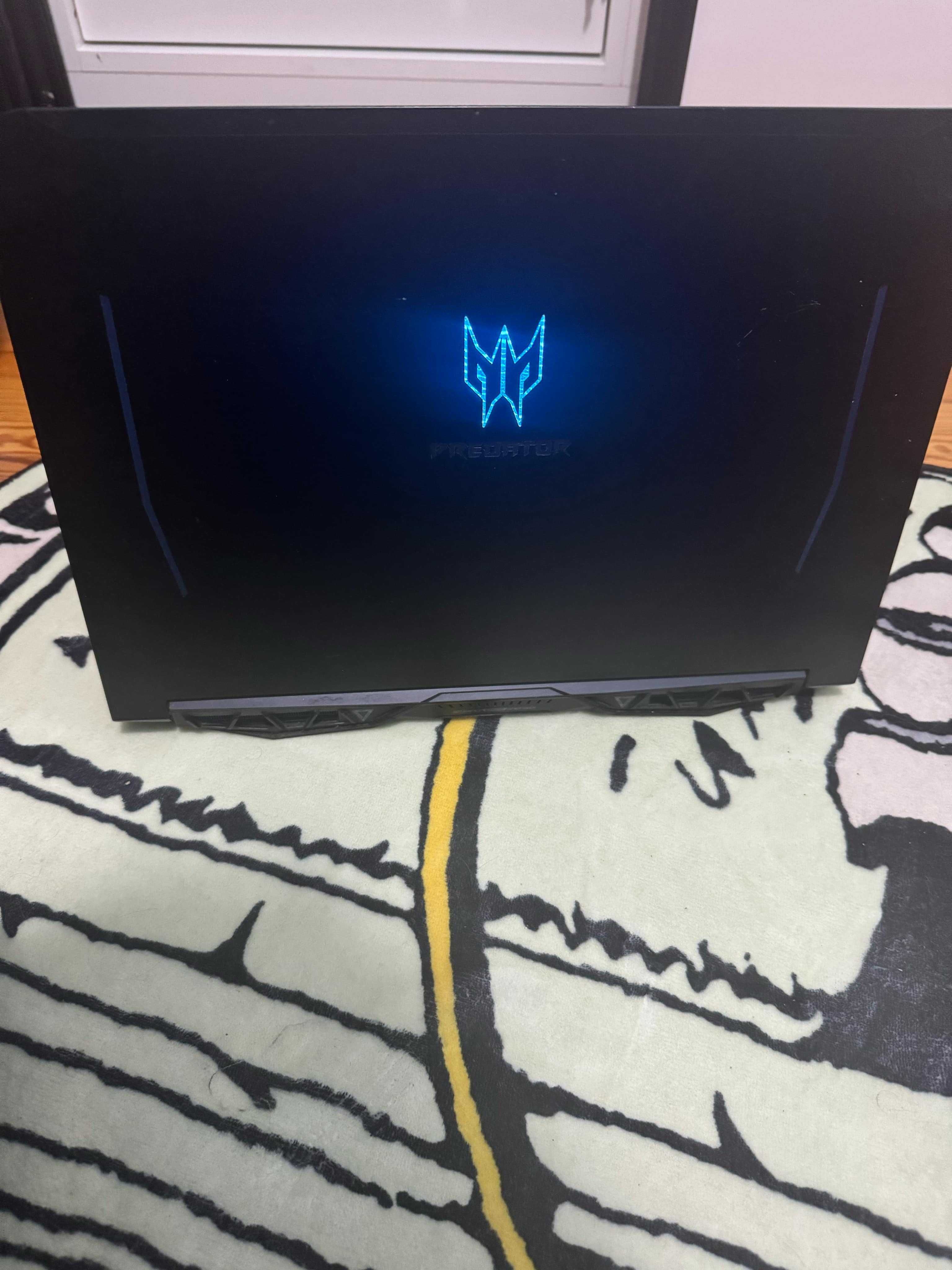 Acer Predator Helios 300