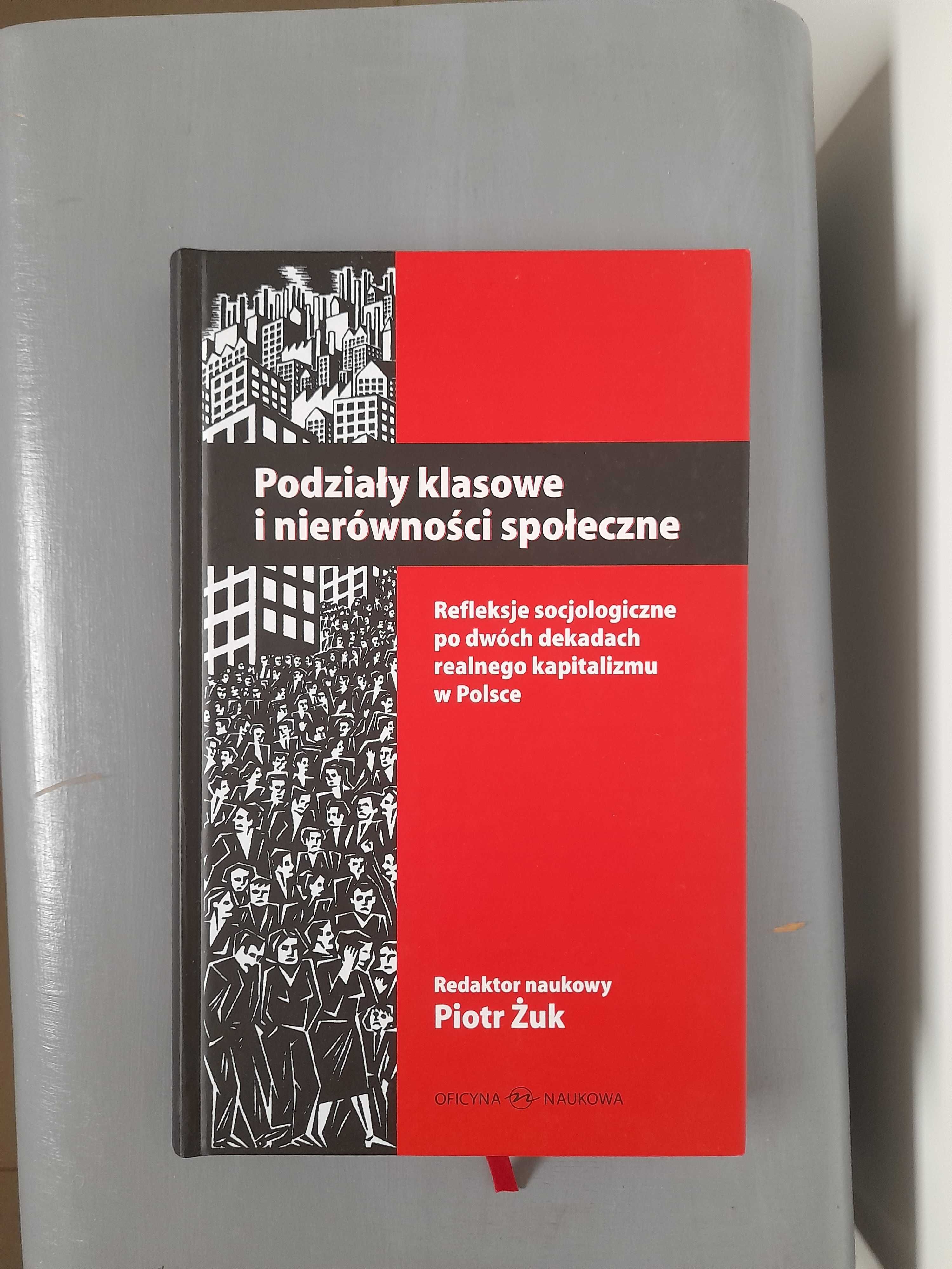 Piotr Żuk "Podziały klasowe i nierówności społeczne"