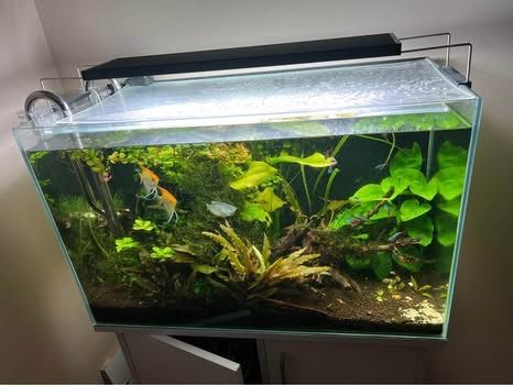 Kompletny zestaw akwariowy 140L full optic white Akwarium