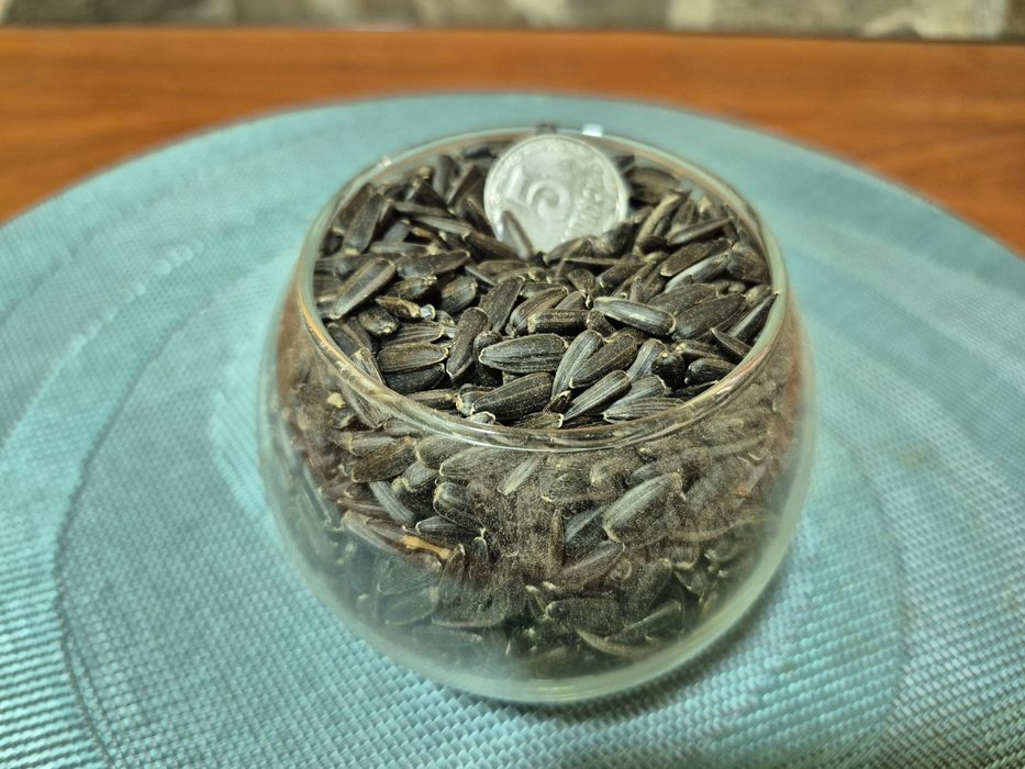 Соняшник  / Семечка