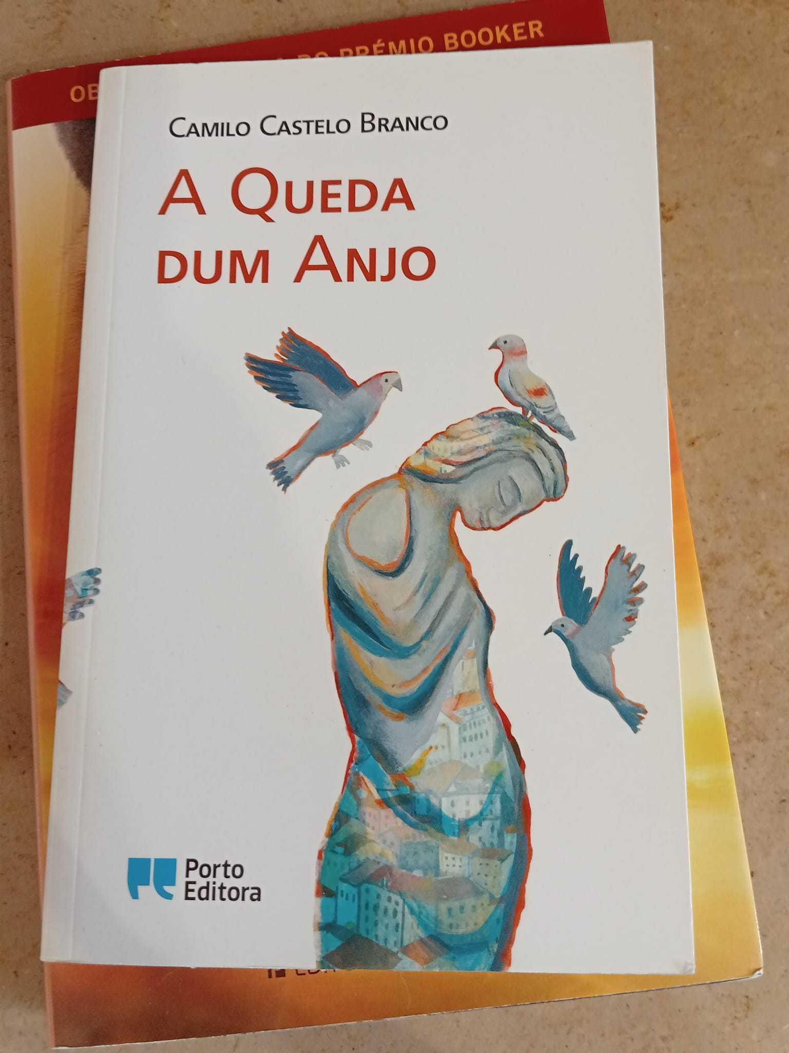 Livros diversos - Professora de mudança vende livros diversos