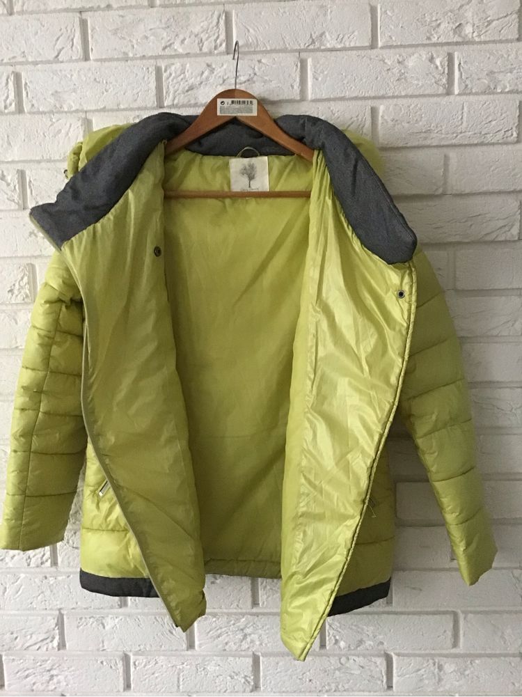 Zimowa kurtka Carry rozm. S 36 limonkowa