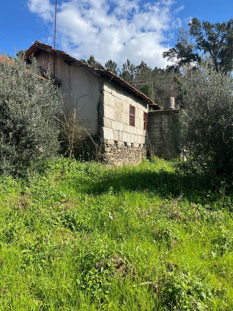 Moradia para restauro com logradouro, pinhal e eucaliptal