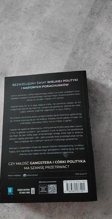 Książka literatura kryminał romans Sukcesja Dulewicz Aleksandra