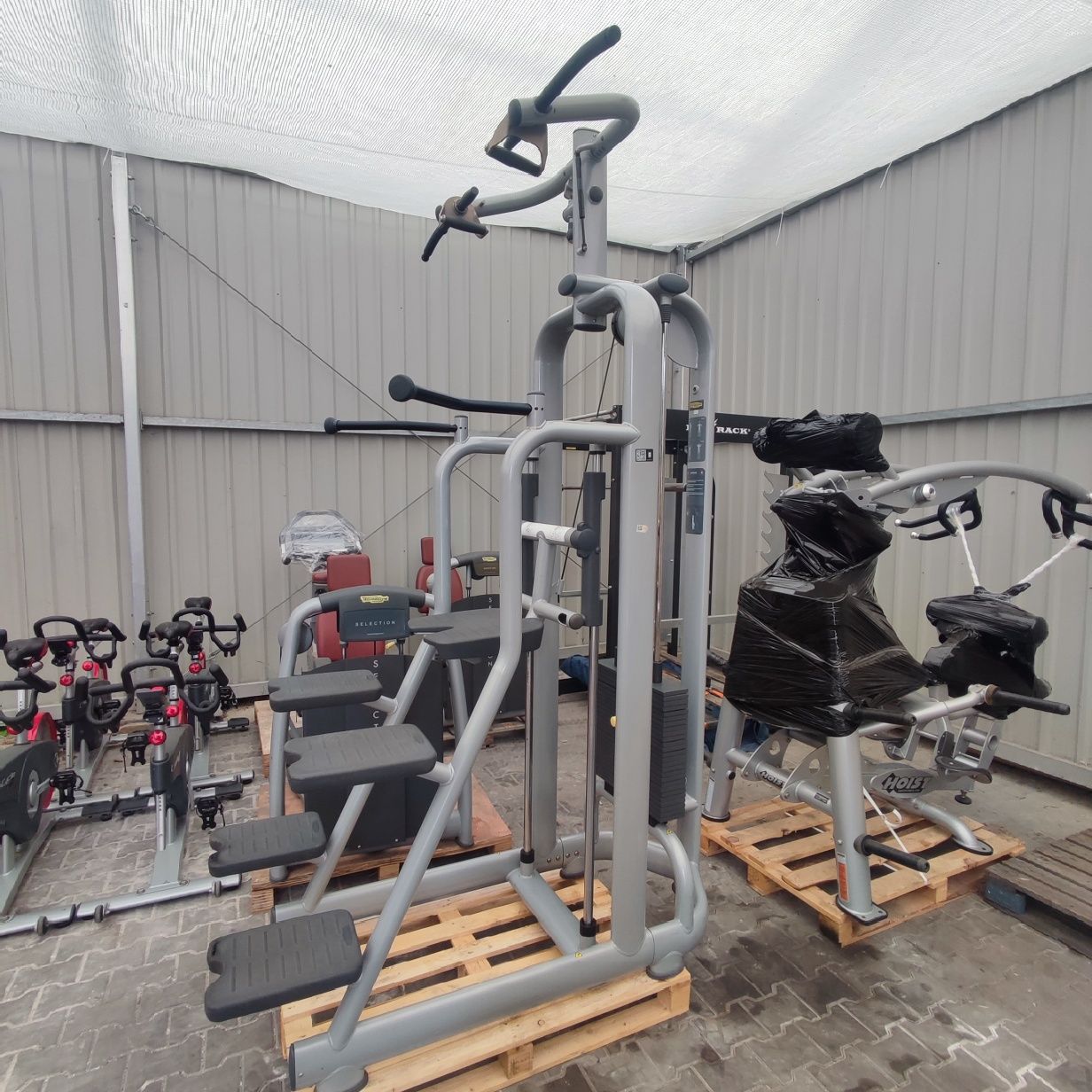 Asystent podciągania Technogym