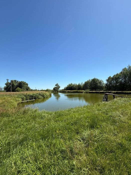 Земельна ділянка з господарською водоймою