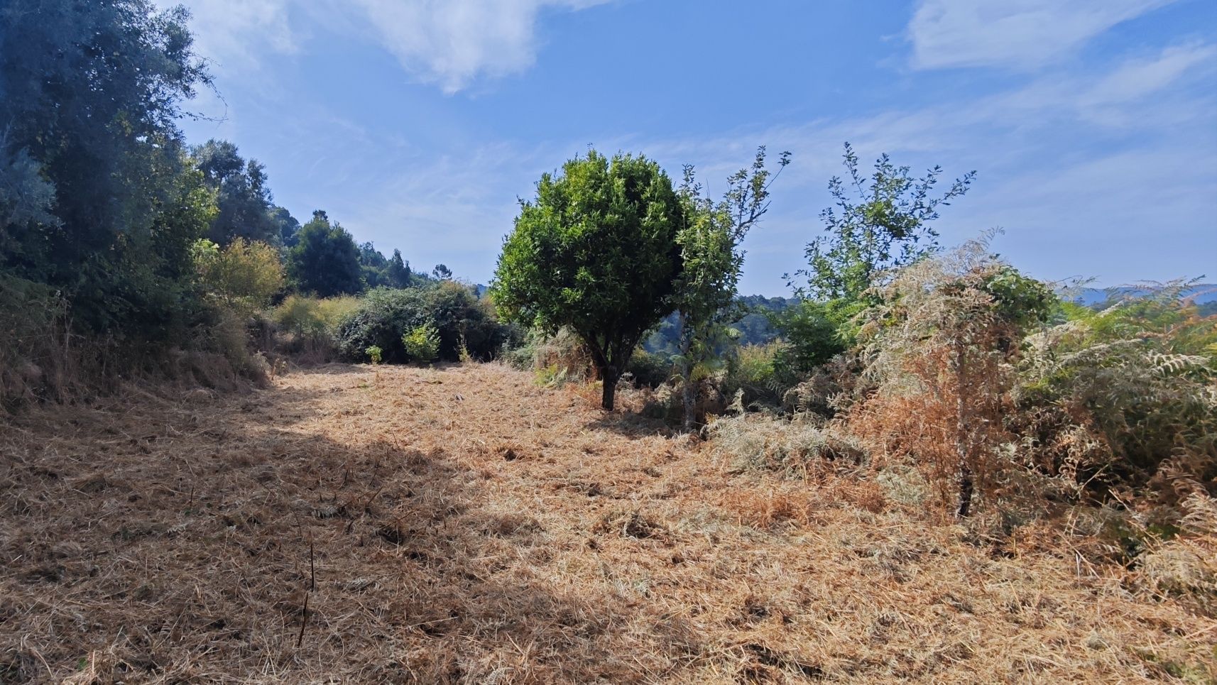 Moradia Isolada T3 Na Montaria