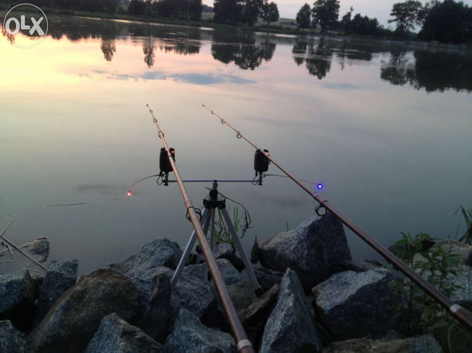 Czujnik brań nocny