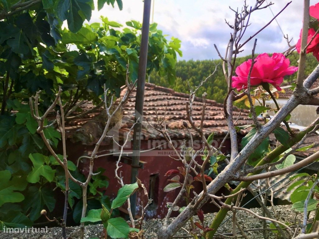 Casa de Campo T3 em Figueiró dos Vinhos
