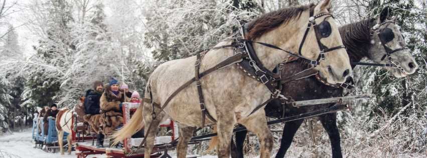 Zakopane 8km noclegi z wyżywieniem pokoje KULIG SYLWESTER w górach