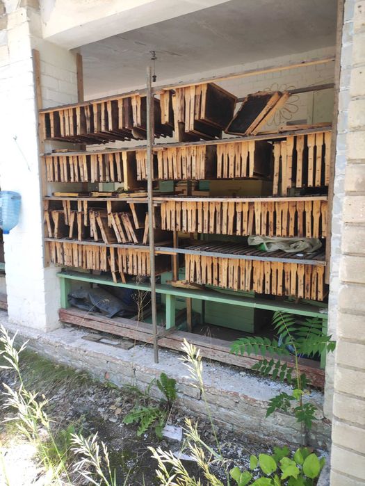 Рамки пчелинные  Новые и б\у