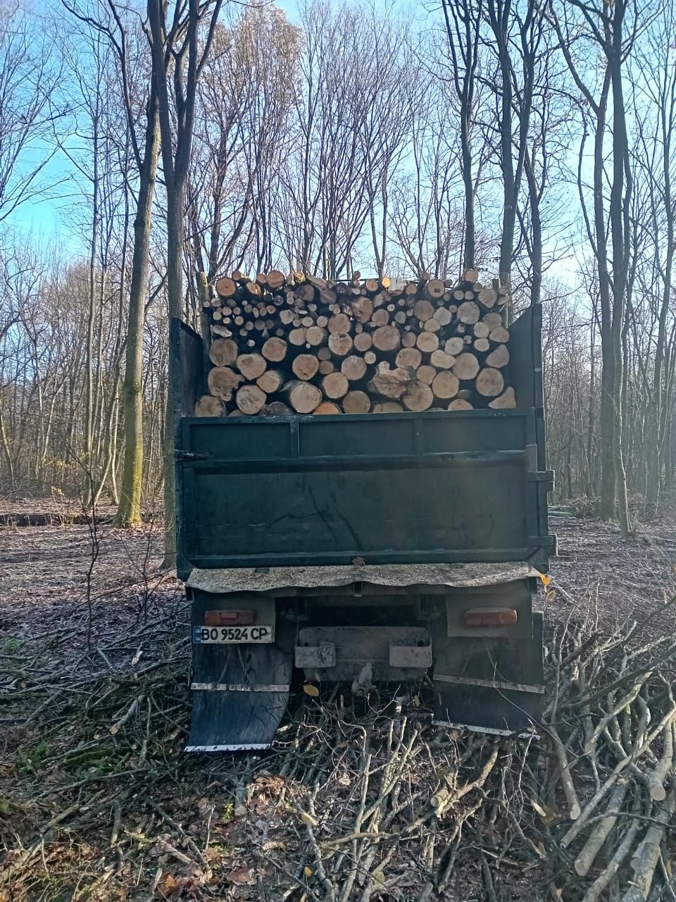 Дрова паливні твердих порід