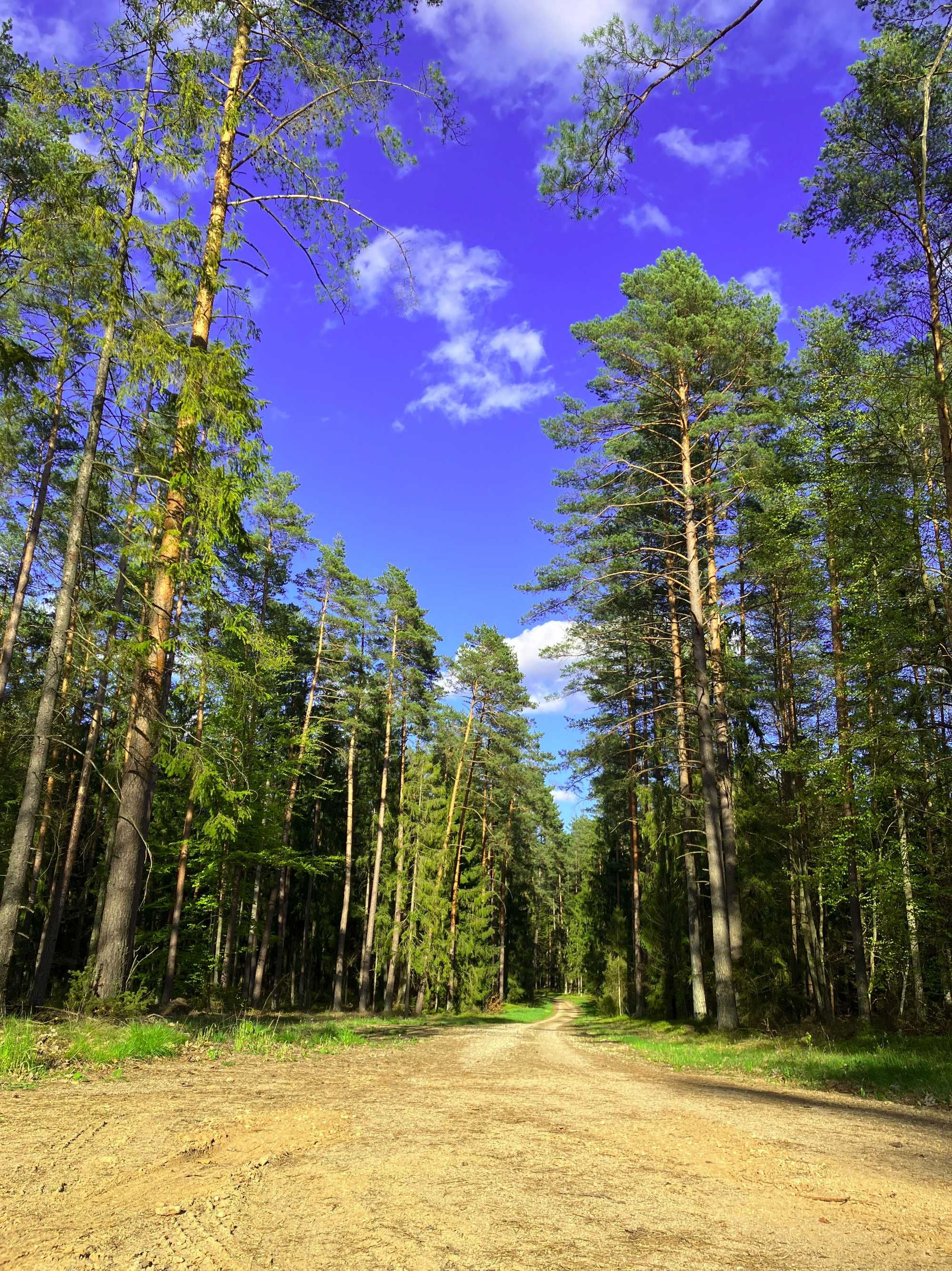 Słoneczne Mazury - Dom Pozytywna Energia Piasutno Szczytno Mazury