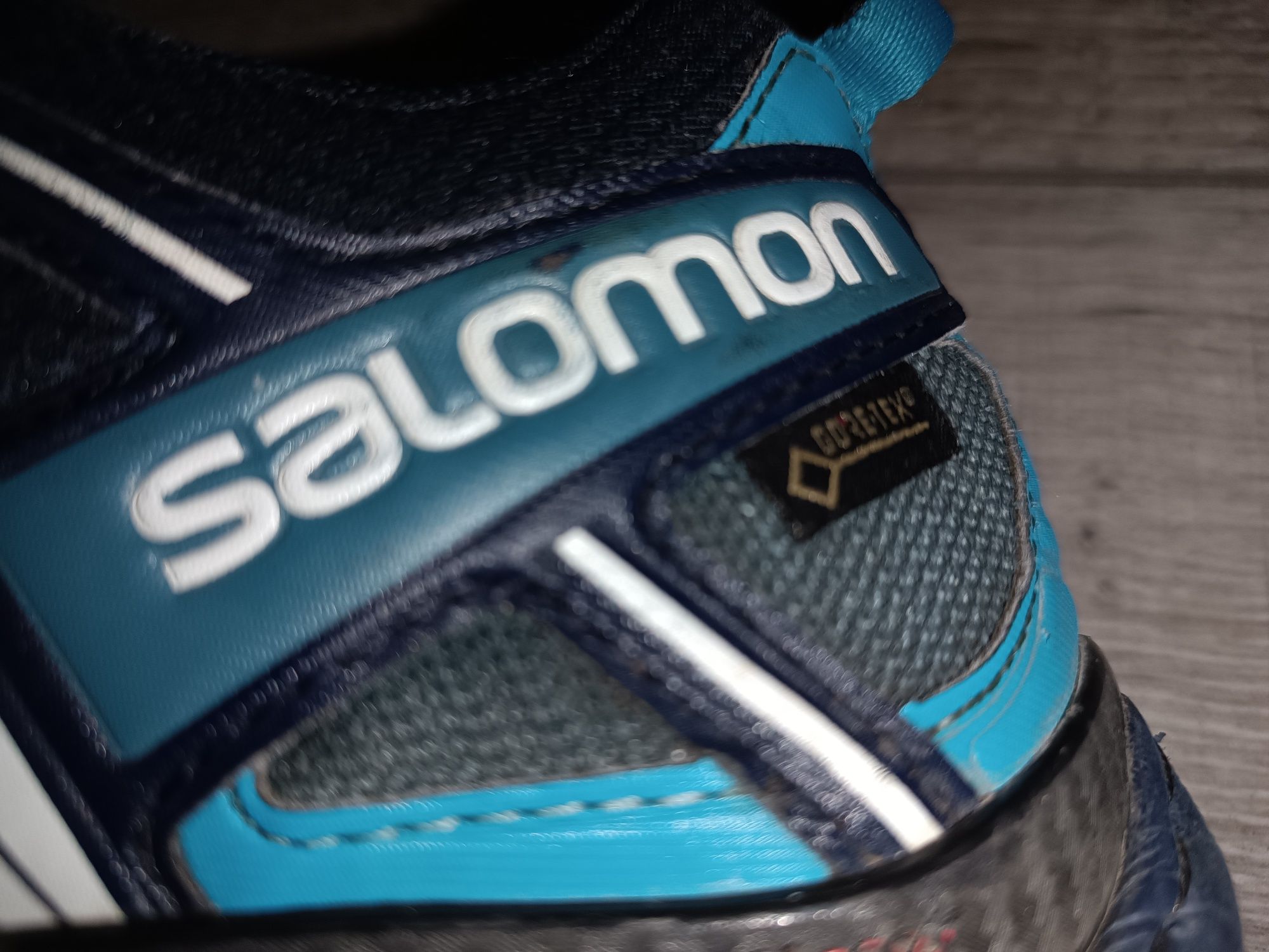 Кросівки Salomon XA pro 3D