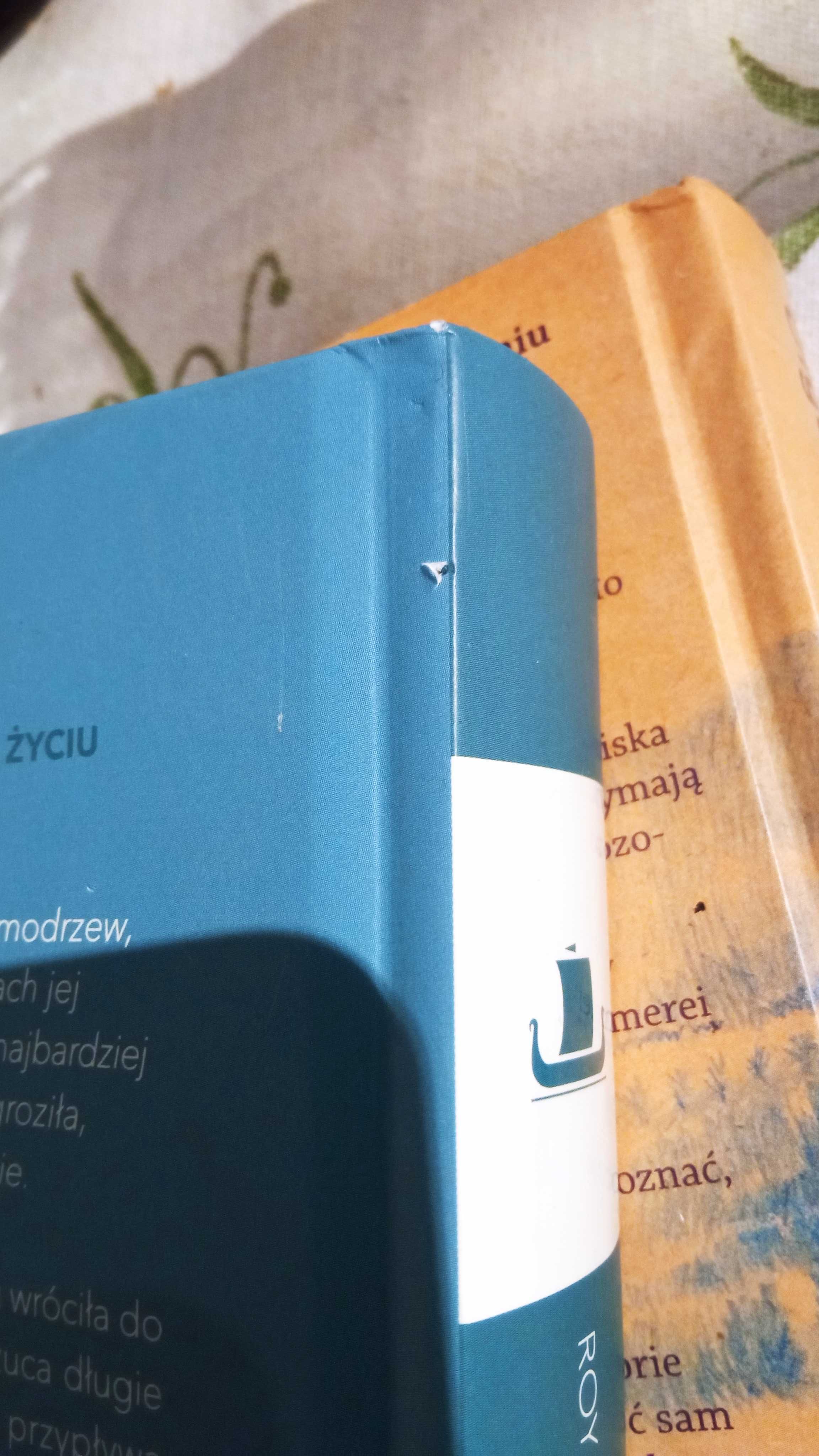 Roy Jacobsen Tylko matka