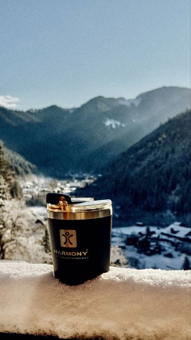 БУДИНОЧКИ В КАРПАТАХ | Королівське місце | ЧАН