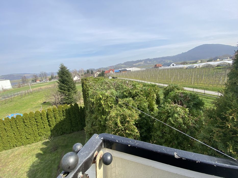 Wycinka przycinka ,czyszczenie drzew ,usługi rębakiem ,koszenie traw !