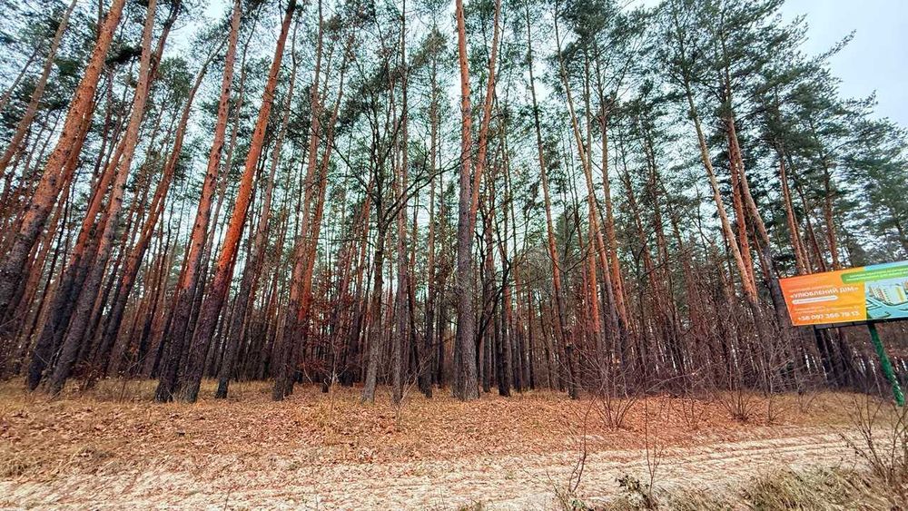Продаж масиву землі під ЗАБУДОВУ біля Житомирської траси!
