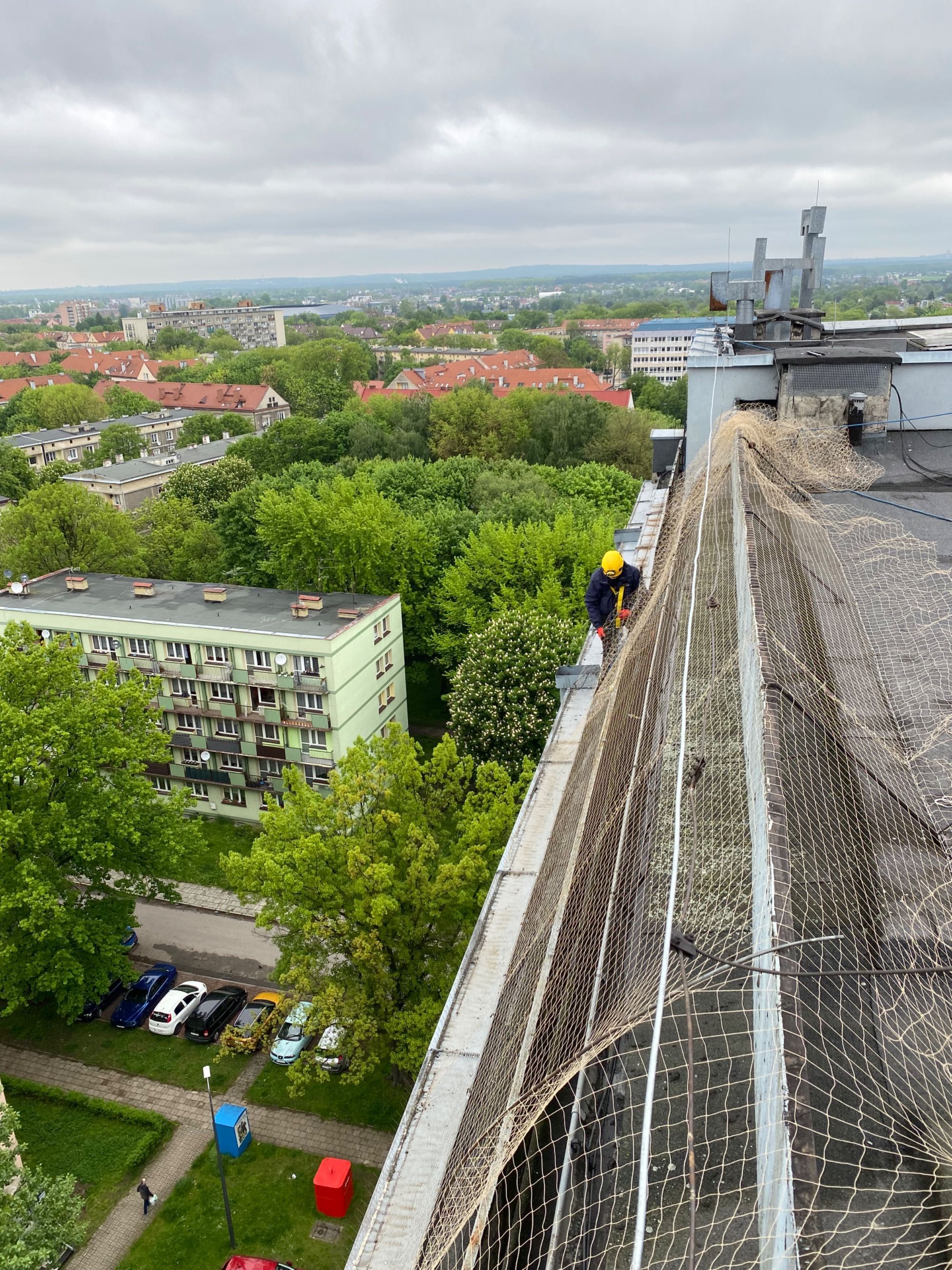 siatki zabezpieczające/ dla kota/ przed ptakami/ balkon/ okno/ kolce