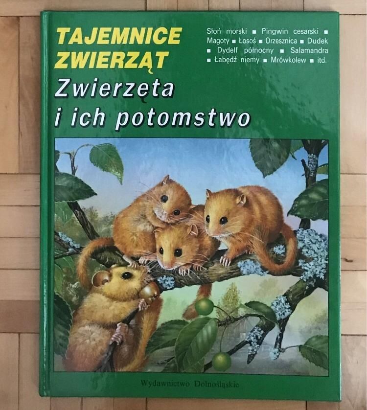 Albumy serii Tajemnice zwierząt 10szt.