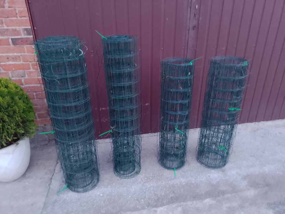 Siatka ogrodzeniowa na wybieg kur
