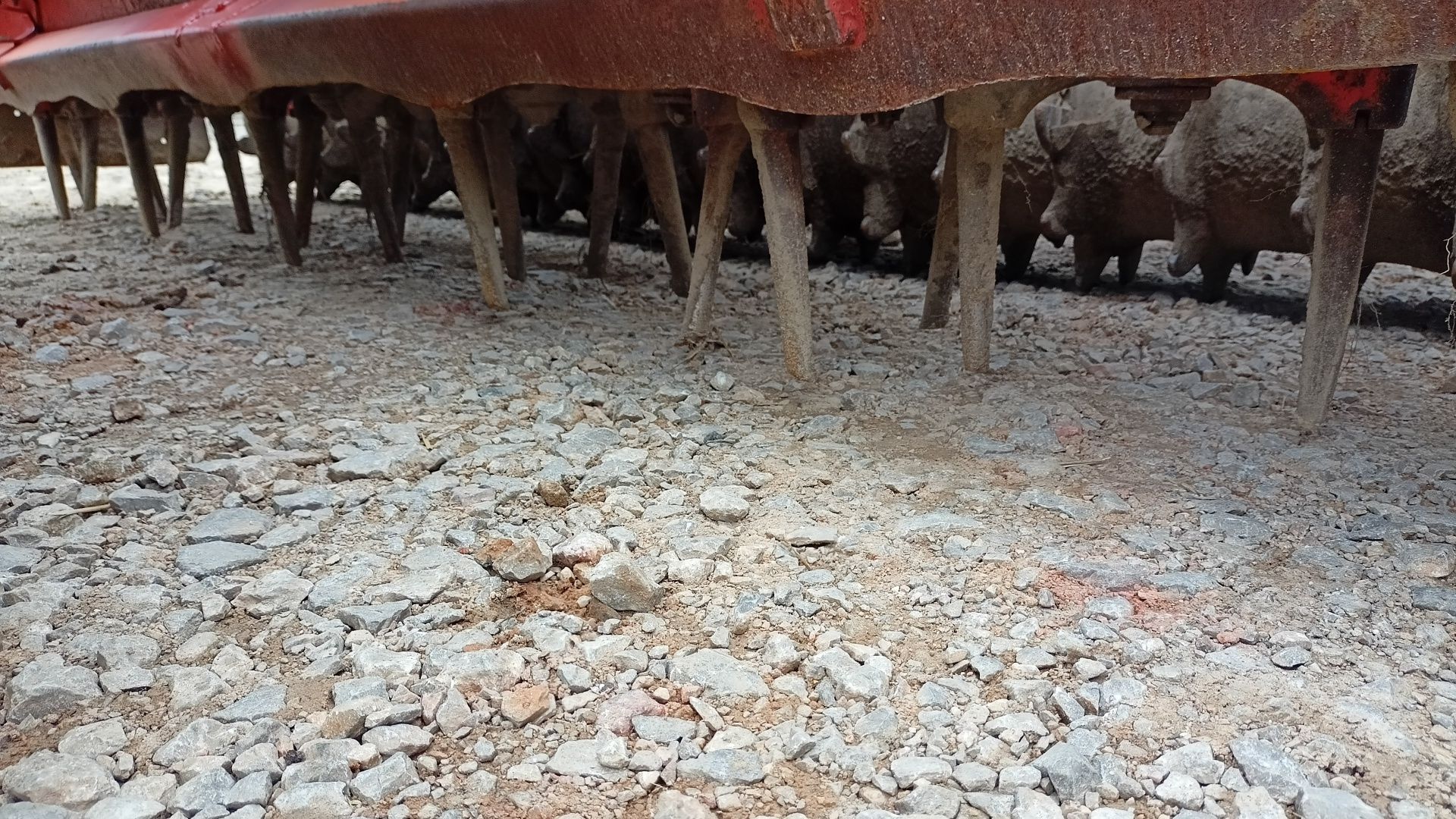 Zestaw Agregat uprawowo siewny Lely Kuhn Nodet 3 metry nadbudowany