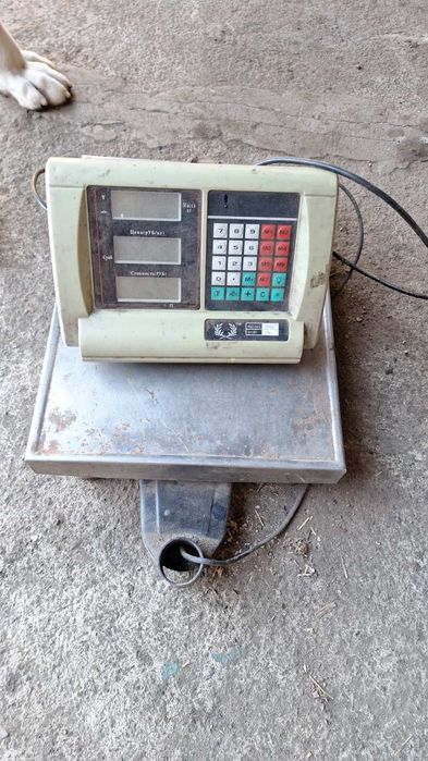 Ваги на 100 кілограмів