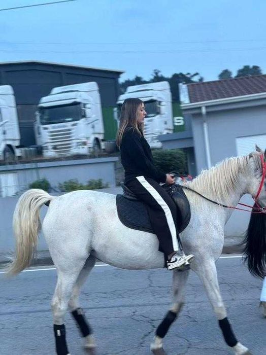 Egua branca bem montada