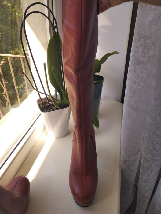 Чоботи жіночі демісезонні шкіряні