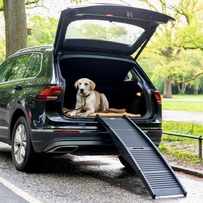 Rampa dla psa składana do auta do 45 kg
