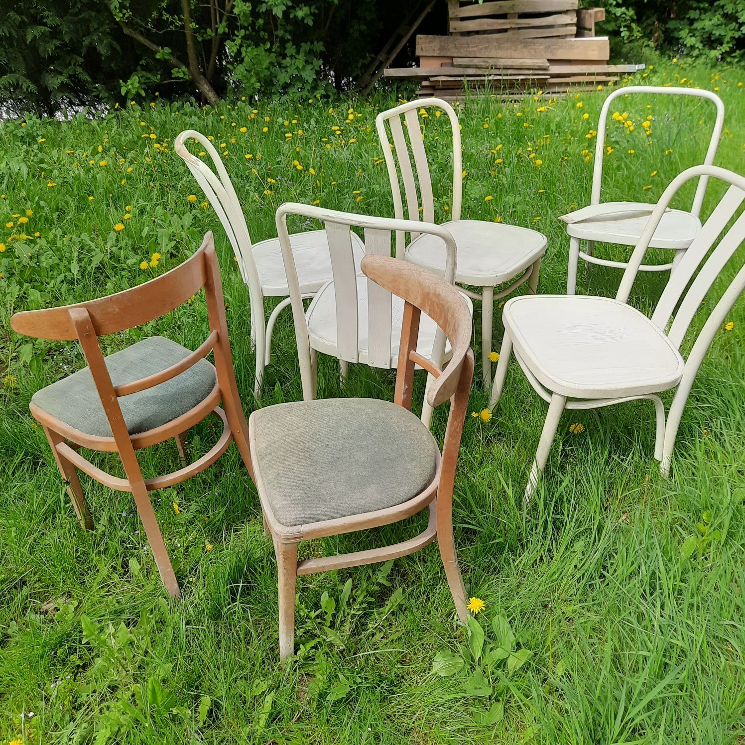 Krzesła do renowacji 7 sztuk