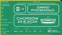 Bilet Dawid Podsiadło 22.06.24 Chorzów - 1szt.
