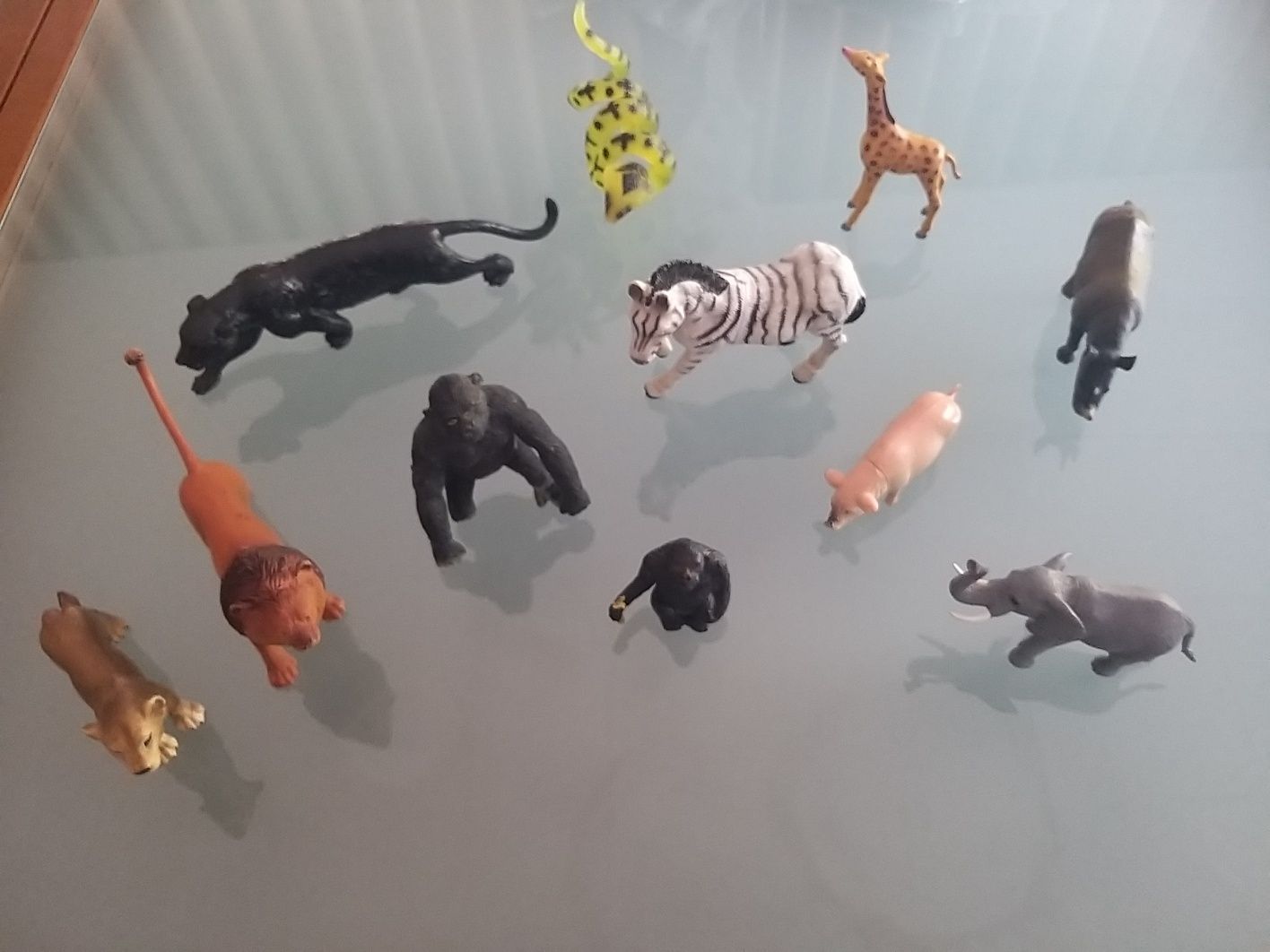 Conjunto de animais