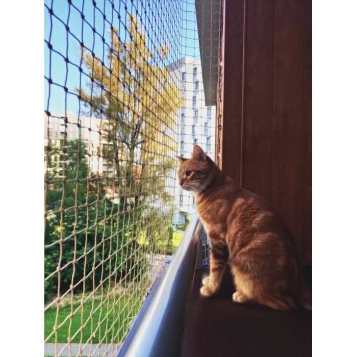 Siatka dla kota / siatka balkonowa / siatka zabezpieczająca balkon