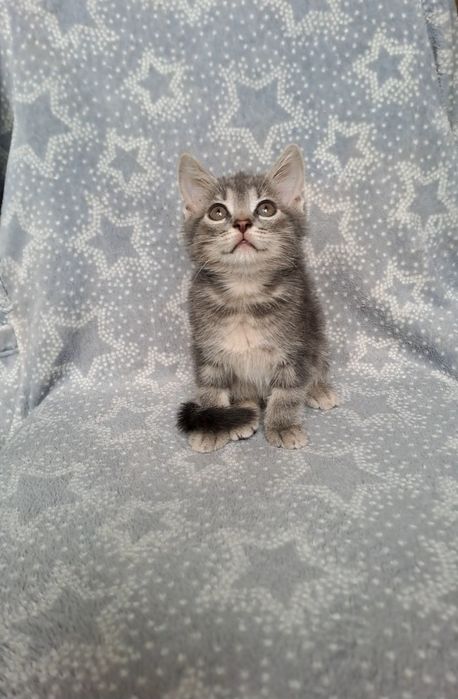 В жизни красивее