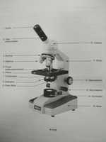 Mikroskop szkolny