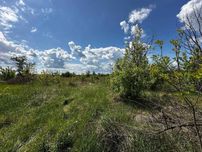 Продаж земельної ділянки 70,81 соток (ОСГ). Біля лісосмуги. ID:714