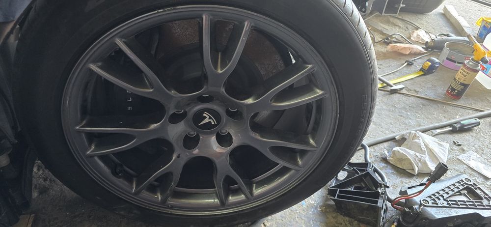 2 задних диска з тесли плейд