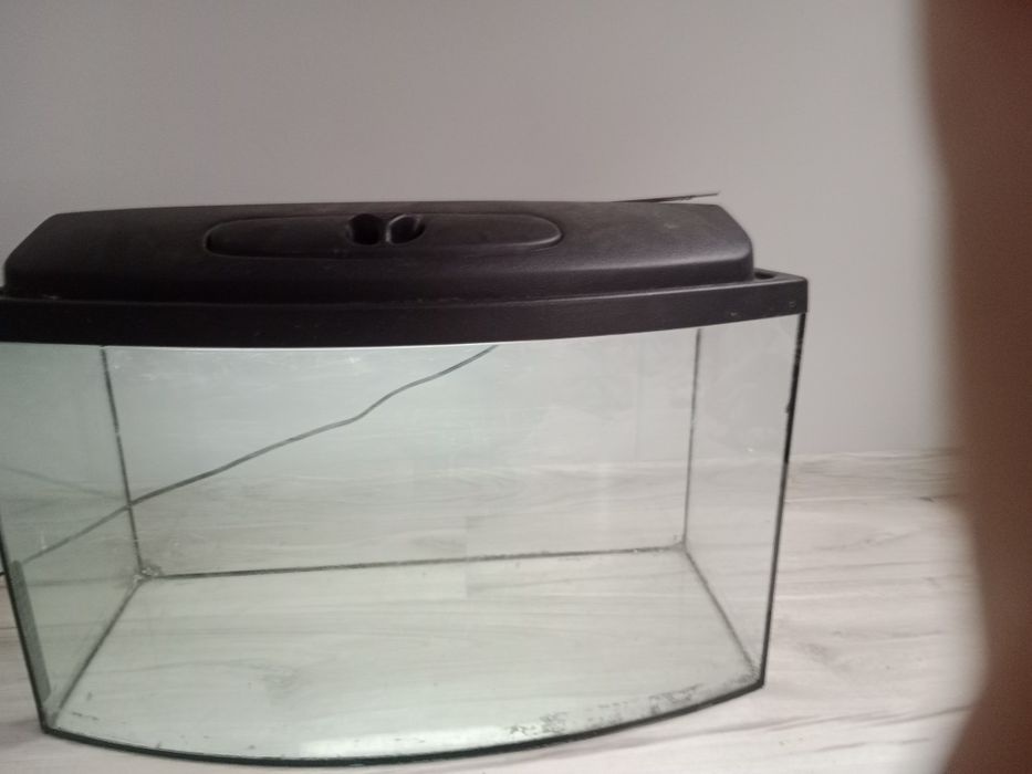 Akwarium(terarium)