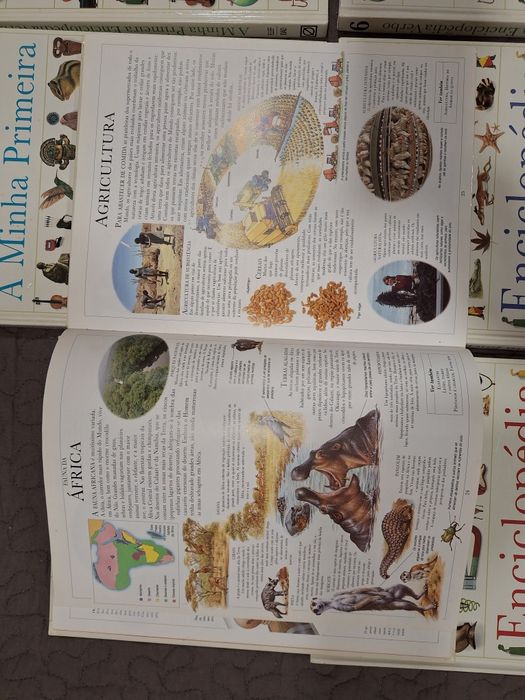 A minha primeira enciclopédia verbo