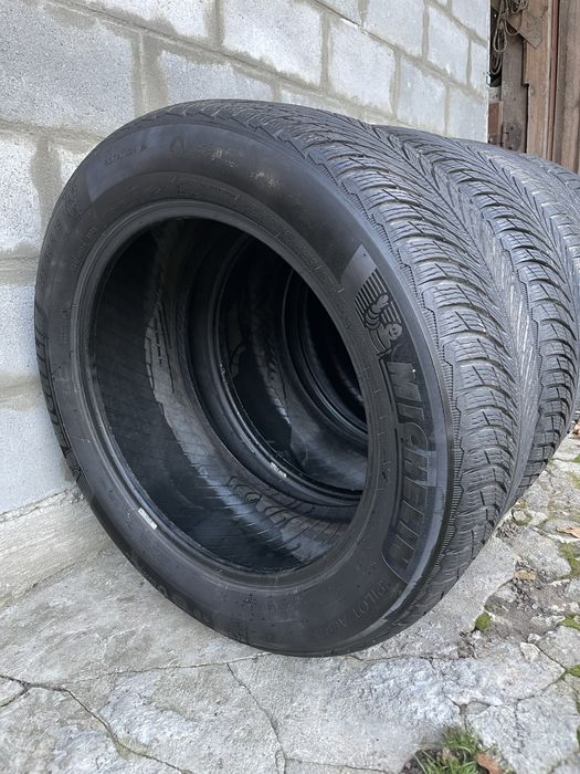 Продам Michelin Pilot Alpin 5 SUV 265/50 R19 110V