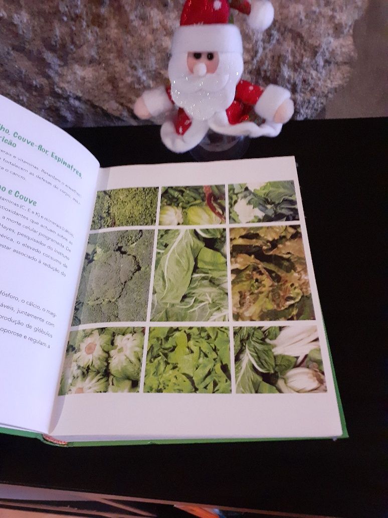 Livro receitas Viva Melhor novo