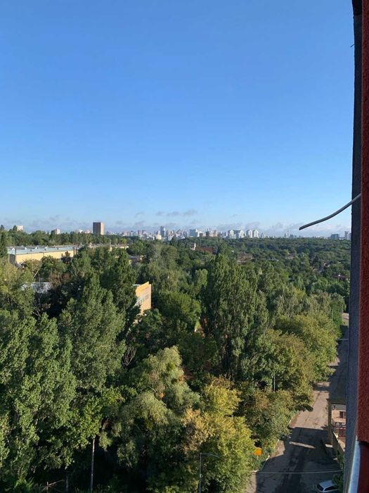 Здам світлу 1-к квартиру з шикарним видом з вікна