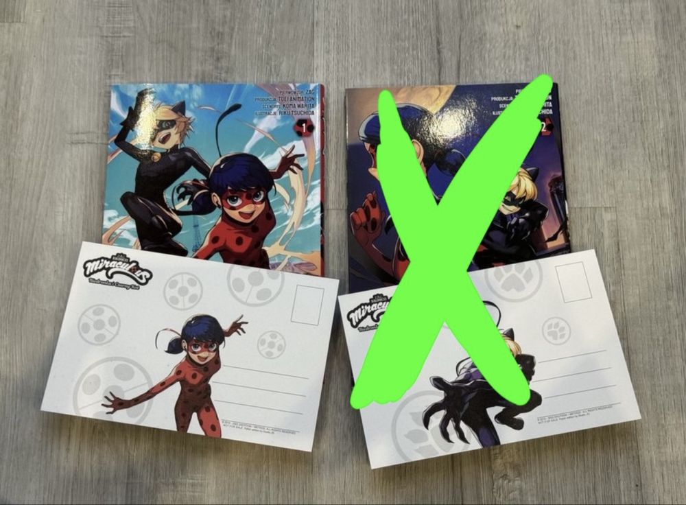 Miraculous biedronka i czarny kot manga 1