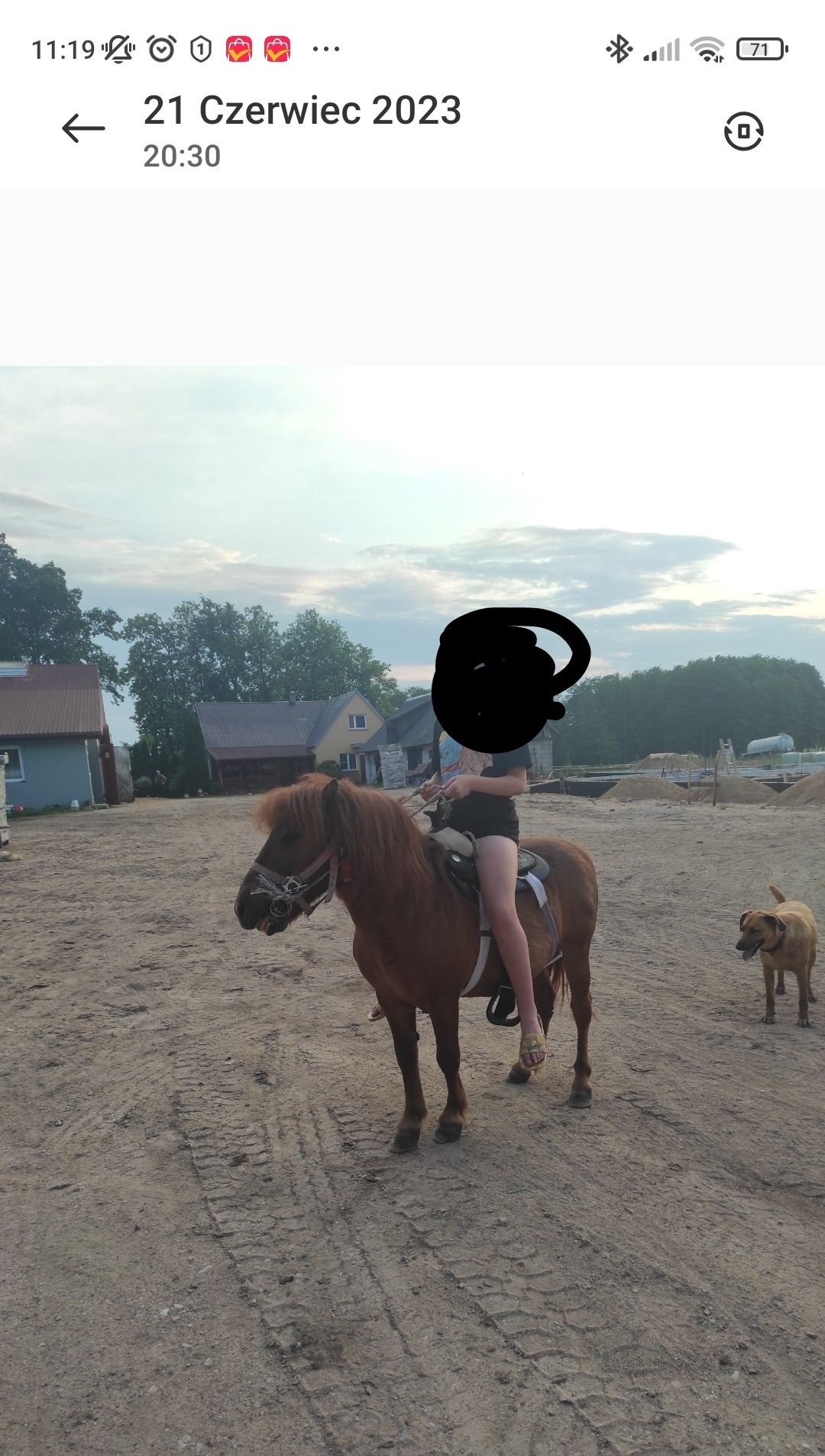 Kucyk, konik Lucek